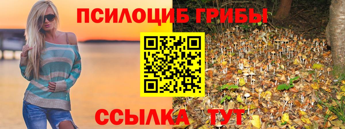 Псилоцибиновые грибы мицелий Юрга